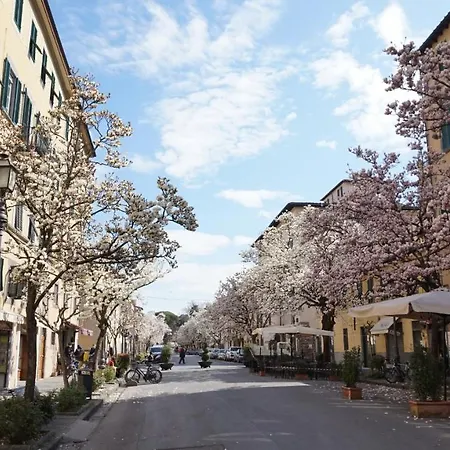 Il Chiassetto Cozy In Center Town * Lucca